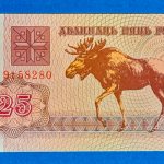 1992.  25 Rubley UNC